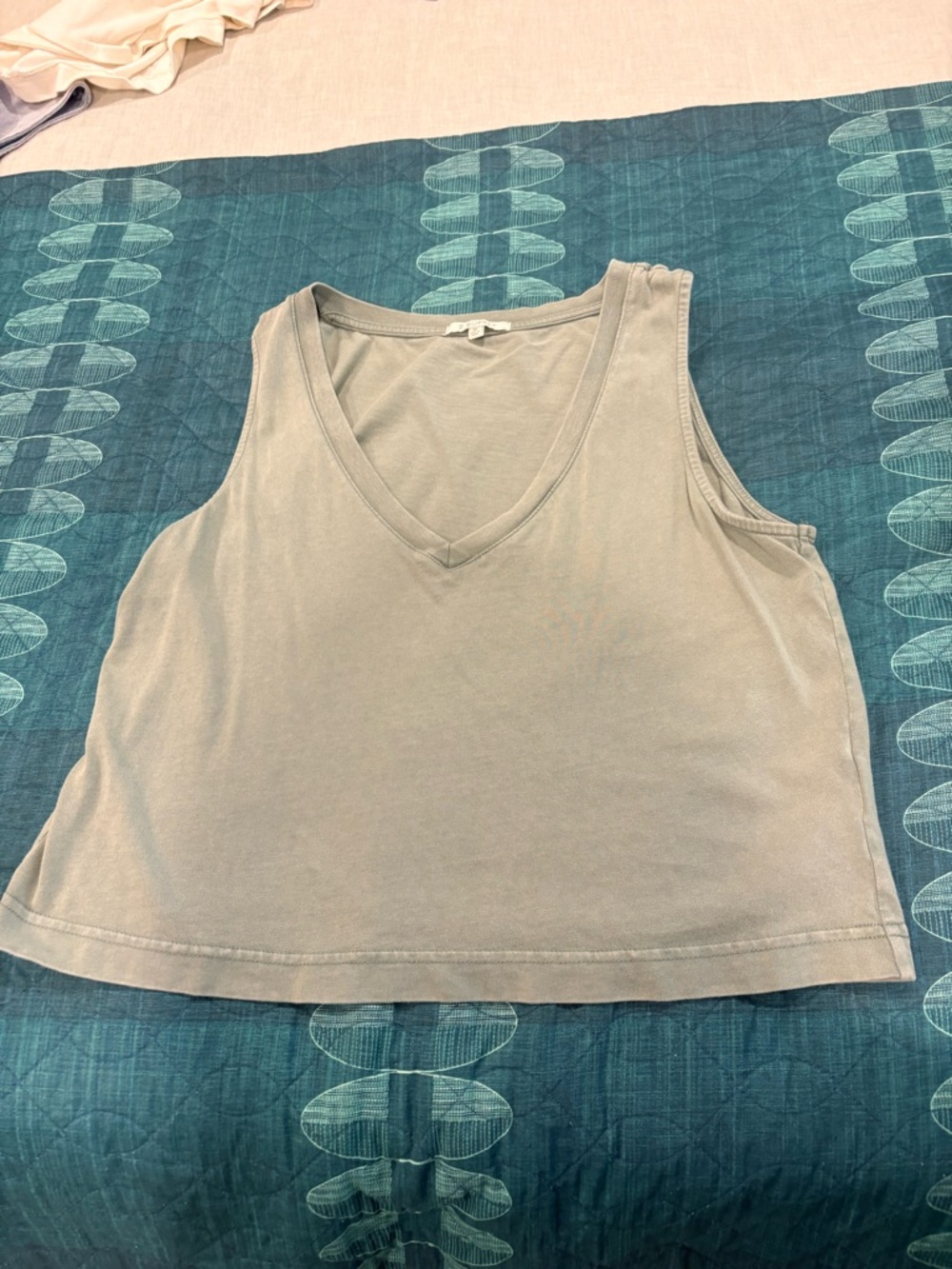 Z Supply Relaxed V-Neck Tank Top - green